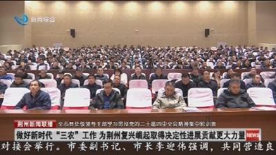 做好新时代“三农”工作 为荆州复兴崛起取得决定性进展贡献更大力量