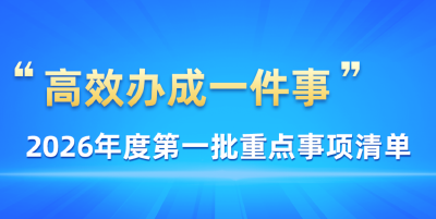 关系育儿补贴申领、新房购置……这些事，今年高效办！（附清单）