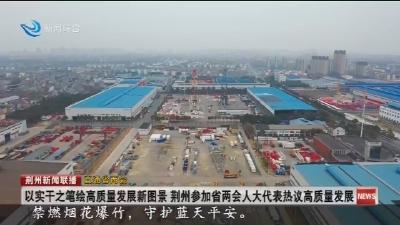 以实干之笔绘高质量发展新图景  荆州参加省两会人大代表热议高质量发展