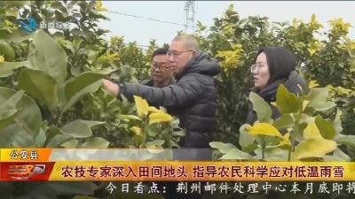 农技专家深入田间地头 指导农民科学应对低温雨雪
