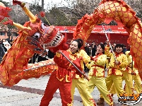 洪湖民俗展演助力求职忙