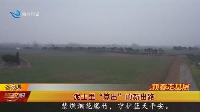 泥土里“算出”的新出路