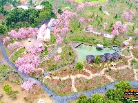 图集 | 荆州浅山森林美术园：春日花海醉游人