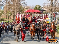 图集 | “楚王巡游”沉浸式解锁楚都盛景