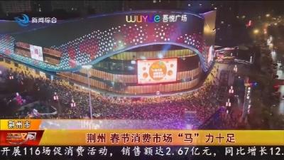 荆州 春节消费市场“马”力十足