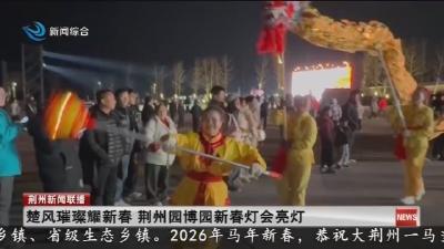 楚风璀璨耀新春 荆州园博园新春灯会亮灯