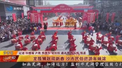 龙腾狮跃闹新春  沙市民俗巡游年味浓