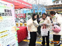 图集 | 春风送岗促就业 真情相助暖民心