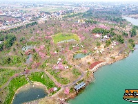 图集 | 荆州浅山森林美术园：春日花海醉游人