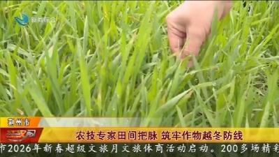 农技专家田间把脉 筑牢作物越冬防线