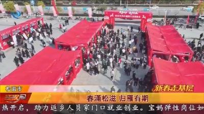 春涌松滋 归雁有期