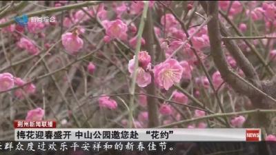 梅花迎春盛开   中山公园邀您赴 “花约”