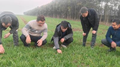 从“高级农艺师”到“省级示范户”：一位返乡创业者的“粮满仓”答卷