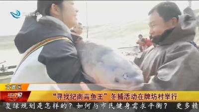 “寻找纪南青鱼王” 冬捕活动在牌坊村举行