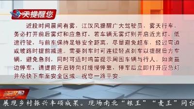 今天提醒您     2026-02-11