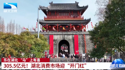 湖北卫视《湖北新闻》丨乐在湖北 “马”上有喜 | 305.5亿元！湖北消费市场迎“开门红”