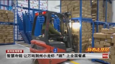 智慧冷链 让万吨荆州小龙虾“跳”上全国餐桌