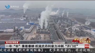 一年“丰”景看春耕 松滋史丹利奋力冲刺“开门红”