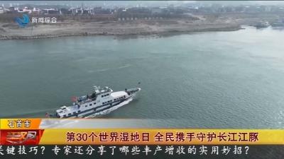 第30个世界湿地日 全民携手守护长江江豚