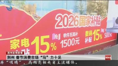 荆州春节消费市场“马”力十足