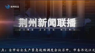 荆州新闻联播 2026-02-19