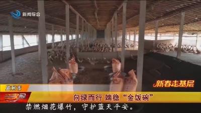 向绿而行 端稳“金饭碗”