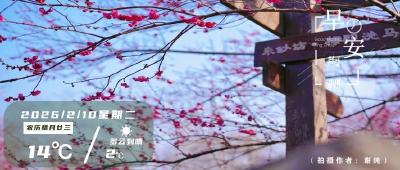 早安·荆州 | 今晚，荆州星光璀璨