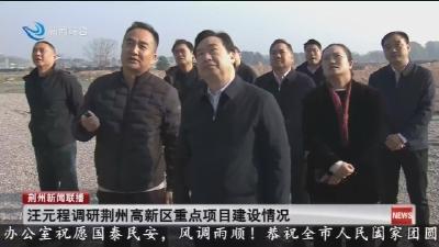 汪元程调研荆州高新区重点项目建设情况