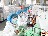 图集 | 湖北小胡鸭 冲刺首季“开门红”