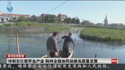 冲刺百亿级甲鱼产业荆州全链协同助推高质量发展