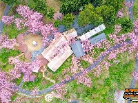 图集 | 荆州浅山森林美术园：春日花海醉游人