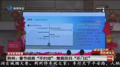 荆州:春节招商“不打烊” 楚商回归“开门红”
