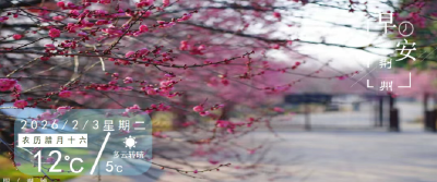 早安·荆州丨王祉怡回荆州过年啦! 