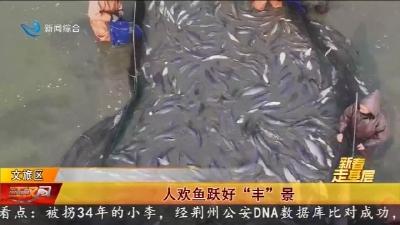 人欢鱼跃好“丰”景