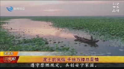 泥土的来信 千丝万缕总是情