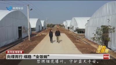 向绿而行 端稳“金饭碗”