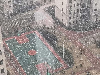 荆州迎立春后第一场雪