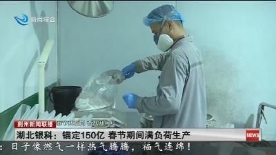 湖北银科 :   锚定150亿  春节期间满负荷生产