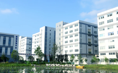 全省首张！加速“出海”→