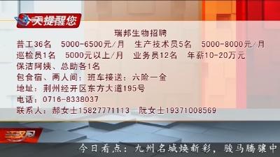 今天提醒您 2026-02-07