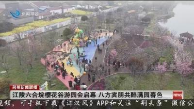 江陵六合垸樱花谷游园会启幕   八方宾朋共醉满园春色