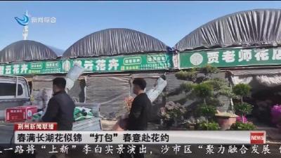 春满长湖花似锦 “打包”春意赴花约