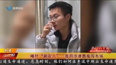 喀什“新农人”: 我带沙漠番茄闯市场