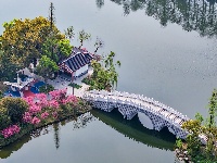 图集 | 碧水繁花相映 荆州三国公园春意浓