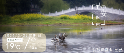 早安·荆州丨2026荆州马拉松赛今日开跑！