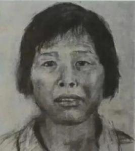 “梅姨”落网过程披露