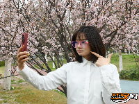 图集 | 荆州春色满城 玉兰、梅花竞相盛放