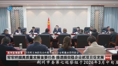 汪元程主持研究全市服务重点企业和重点项目建设