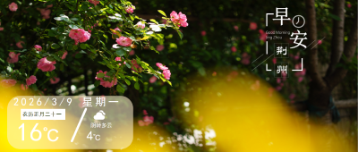 早安·荆州丨荆州市教育局发布重要公告→