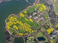 荆州：春到阴湘城